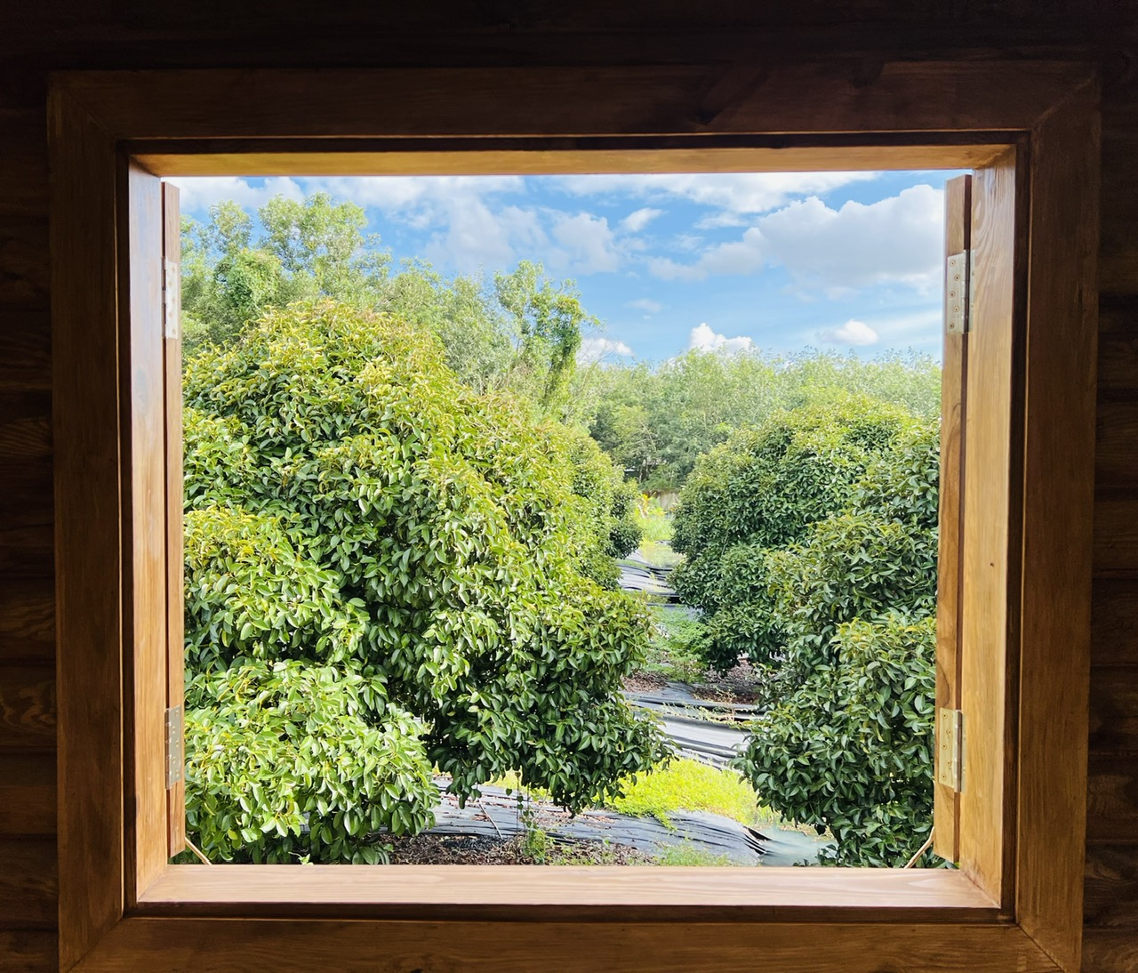 071.nhung kieu nha go bao loc dep de nghi duong khoa lam group