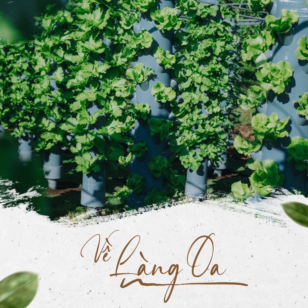 về làng oa