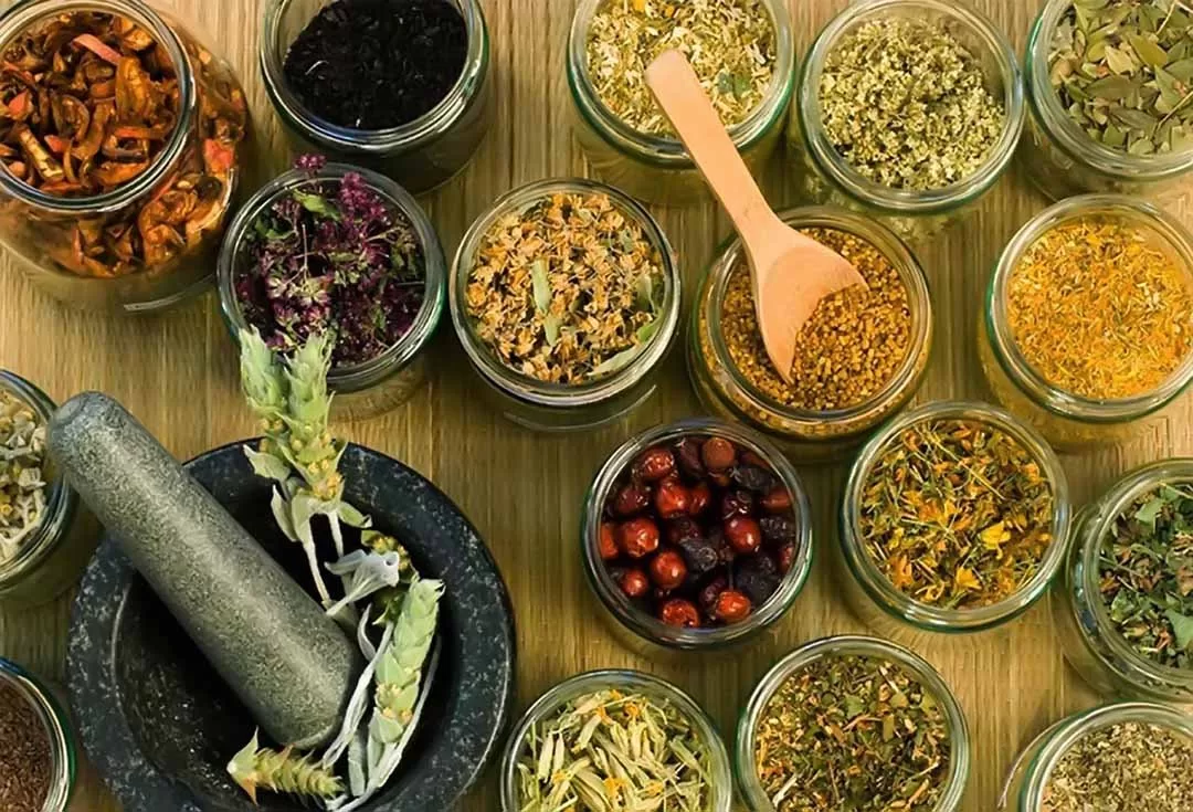 Sức Mạnh Của Dược Liệu Khi Chăm Sóc Sức Khỏe tại Làng Oa Bảo Lộc cham soc suc khoe bang duoc lieu tai lang oa 2 jpg