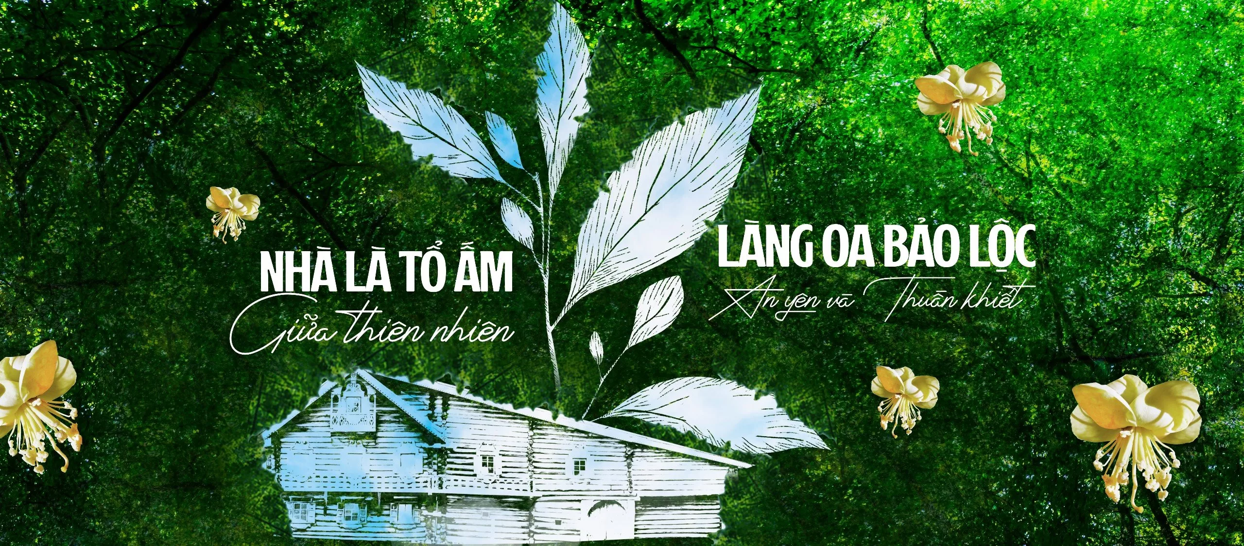 Khoa Lâm Group - Đơn Vị Tiên Phong Phát Triển Bất Động Sản Xanh Tại Bảo Lộc cuộc sống xanh tại làng oa bảo lộc