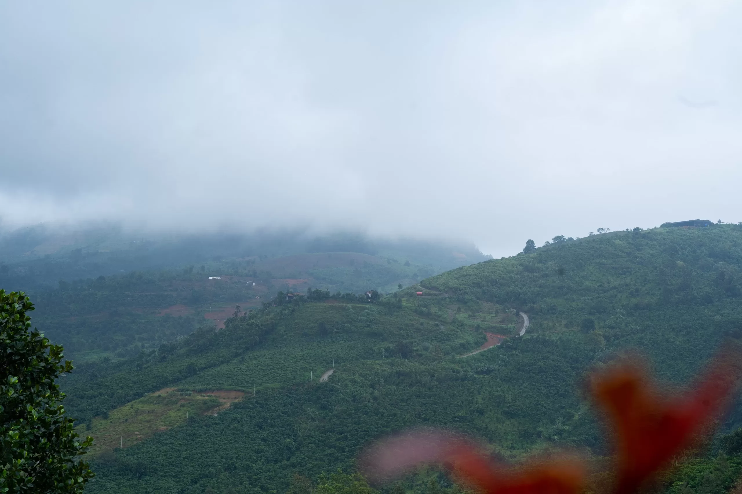 Làng Oa Bảo Lộc - Cùng nhau về Làng rộn ràng mùa gặt khong gian kien truc lang oa bao loc 3 jpg