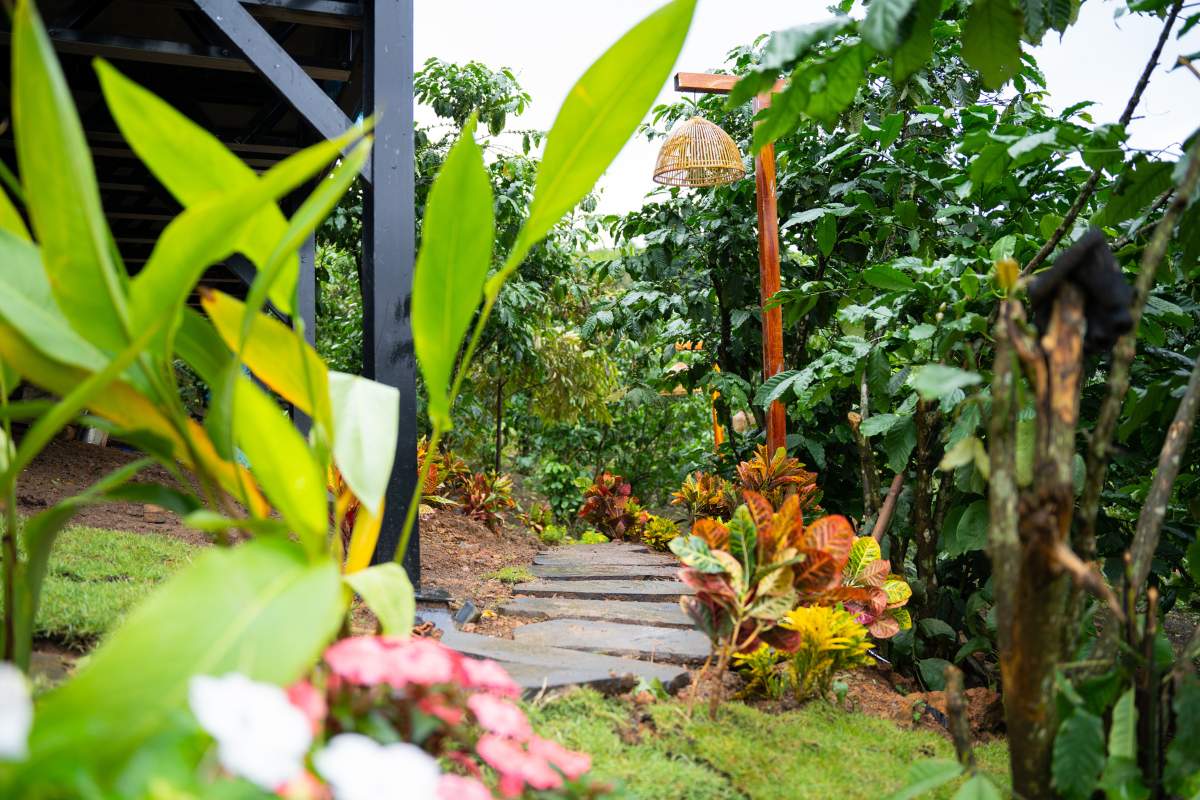 lối về bình yên với ngôi nhà gỗ nhỏ xinh tạ làng oa bảo lộc 