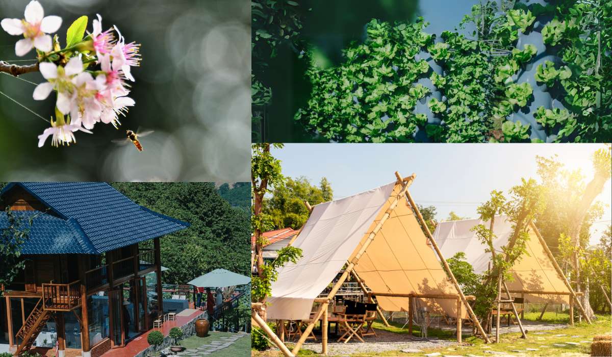 Xu hướng Outdoor Living - Lối về với thiên nhiên nguyên bản khong gian song tai lang oa 1