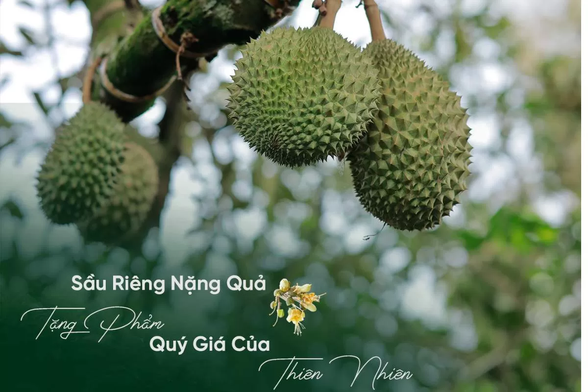 quà tặng thiên nhiên tại làng oa bảo lộc