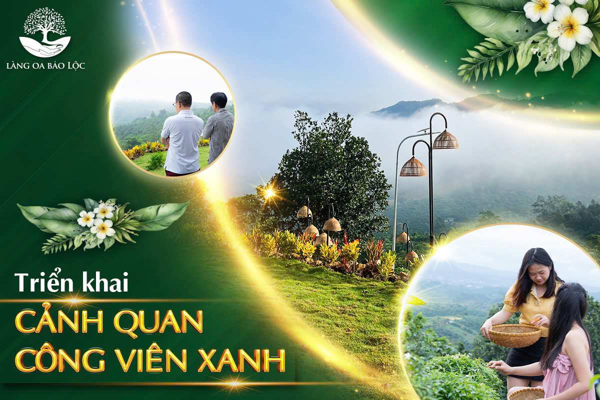Triển Khai Cảnh Quan Và Công Viên Cây Xanh Quanh aman Triển Khai Cảnh Quan Và Công Viên Cây Xanh Quanh Làng Oa
