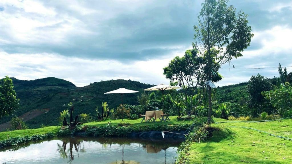 Các Sản Phẩm Thành Công Trước Đây Của Khoa Lâm Group khoalam loc thanh farm