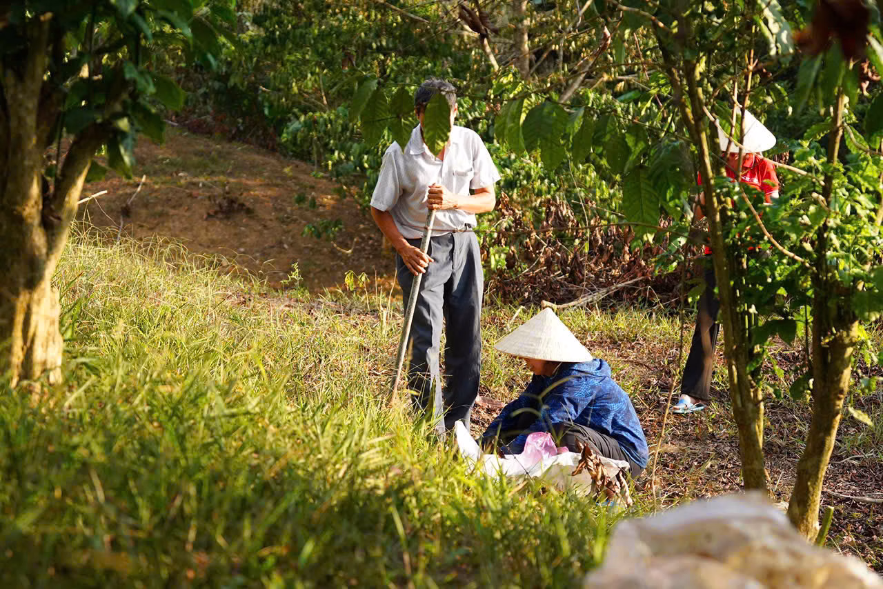 Làng oa là gì? Nơi người thành phố tìm thấy ngôi nhà thứ hai ở bảo lộc 019ac1650f7eb420ed6f7.bak