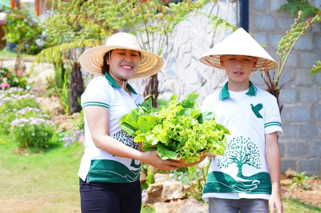 6c9bf56a3b71802fd9609