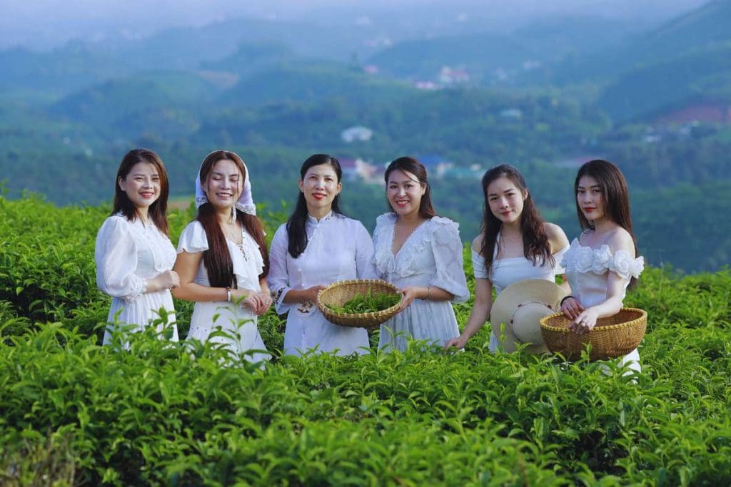 làng oa bảo lộc - nơi kết nối những con người yêu thiên nhiên và hướng tới một cuộc sống khỏe mạnh