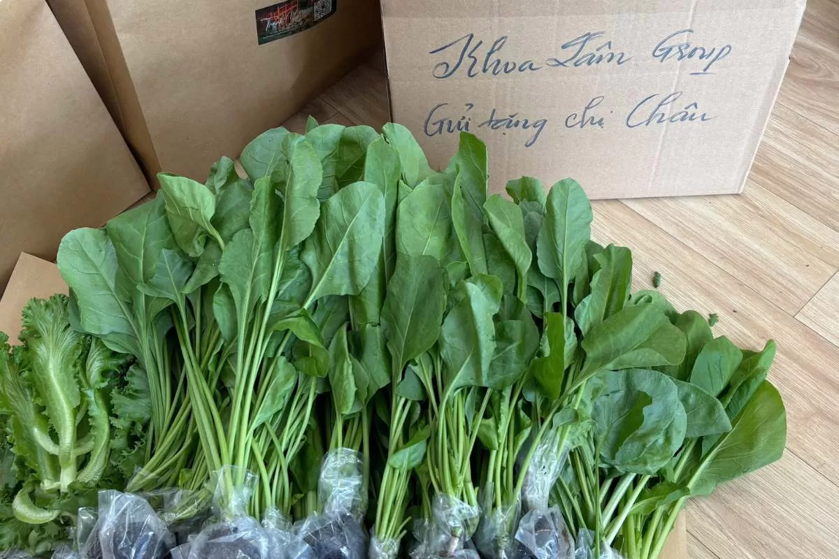 Một Ngày Chuẩn Bị Quà Cuối Tháng Cho Cư Dân Làng Oa Bảo Lộc