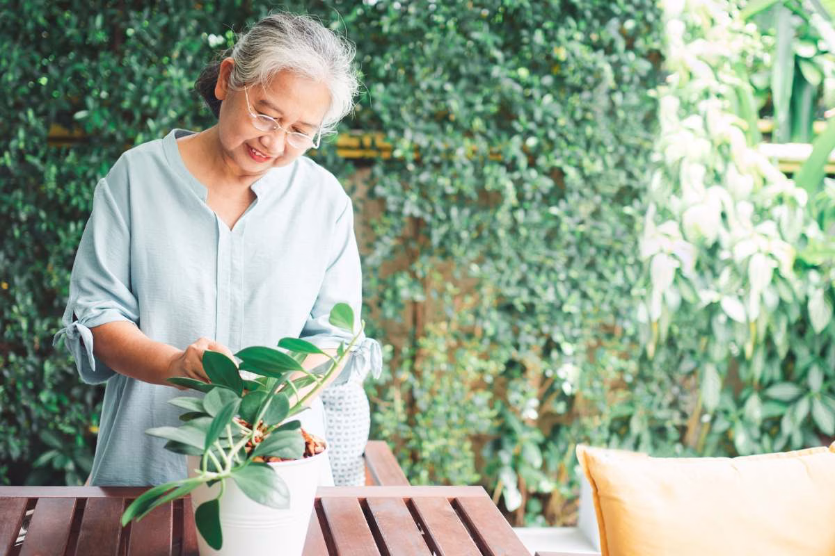 Câu chuyện của nhà đầu tư Làng Oa Bảo Lộc Lâm Đồng