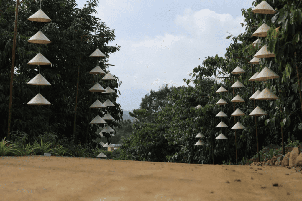 hình ảnh con đường nón là được trang trí ở nhà cũ sau khi tái sinh