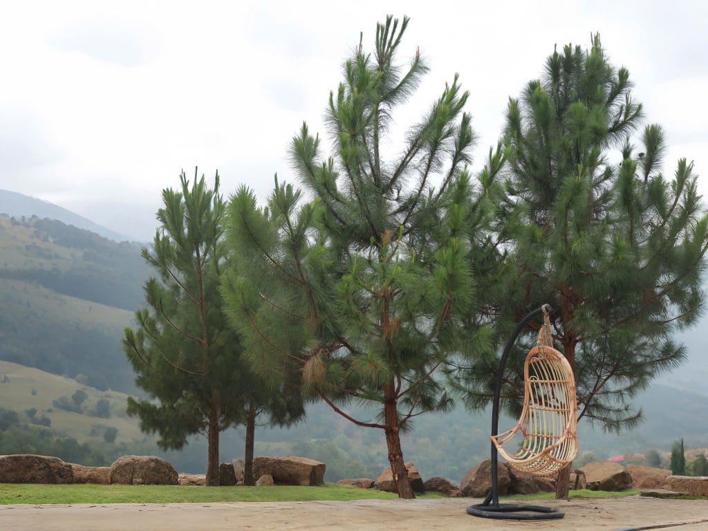 cảnh quan thiên nhiên tại làng oa bảo lộc lâm đồng