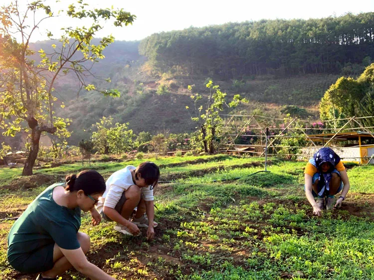 Cư dân aman cúng động thổ khởi công 2 căn nhà Trải nghiệm cuộc sống giản dị và bình yên tại Làng Oa Bảo Lộc