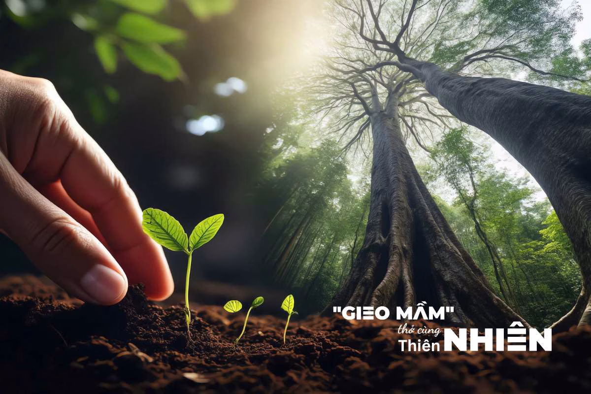 Hành Trình "Gieo Mầm" Thở Cùng Thiên Nhiên – Trải Nghiệm Sống Chậm Giữa Thiên Nhiên Bảo Lộc Tại Làng Oa Bảo Lộc