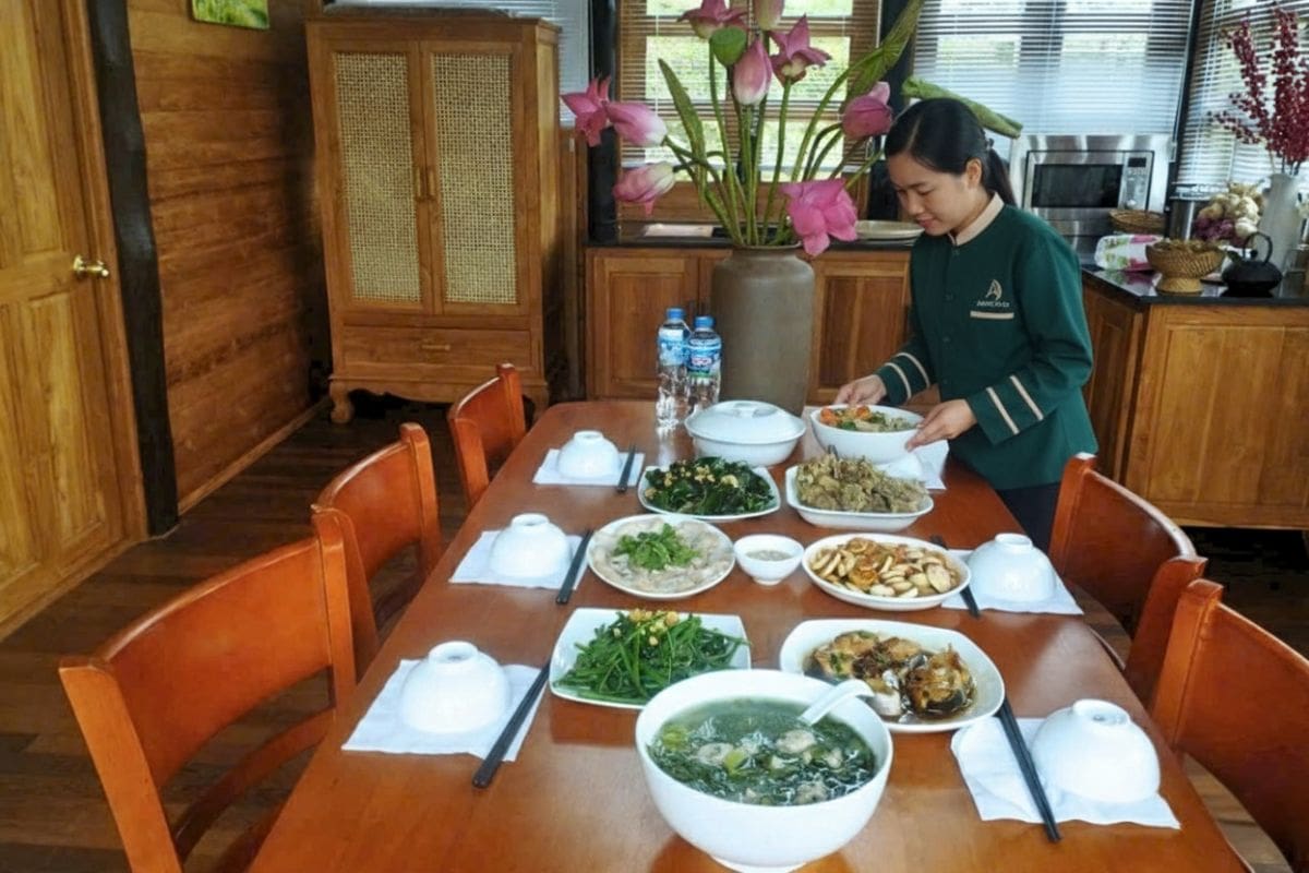 Dịch vụ quản lý và vận hành phục vụ cho cư dân Làng Oa Bảo Lộc
