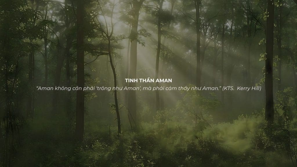 Cảm Giác aman Kerry Hill: Feel, Not Look | Làng Oa Cloud Triết lý khu nghĩ dưỡng aman bảo lộc