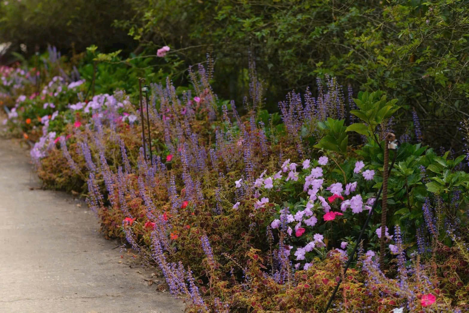 Vườn sinh thái tại khu nghỉ dưỡng aman 