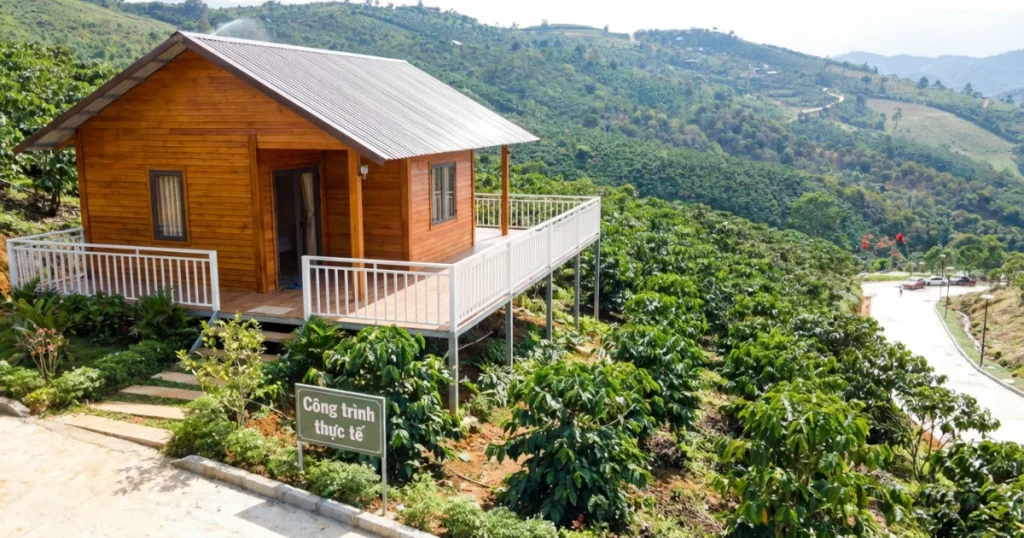 Đất CLN là gì? Pháp lý, hạn mức & có được xây nhà được không. (Nguồn: Ảnh minh hoạ)