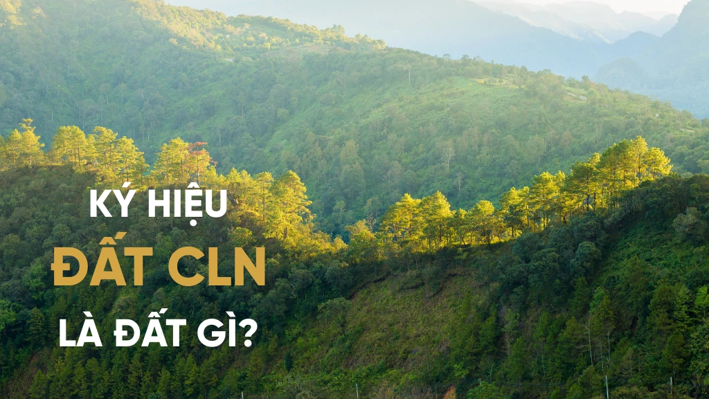 Ký hiệu cụ thể đất cln là đất gì? (Nguồn: Ảnh minh hoạ)
