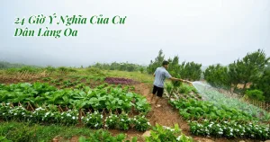 Sống Chậm Tại Bảo Lộc: 24 Giờ Trôi Qua Của Cư Dân Làng Oa Sống chậm ở Bảo Lộc, 24h ý nghĩa của cư dân làng oa
