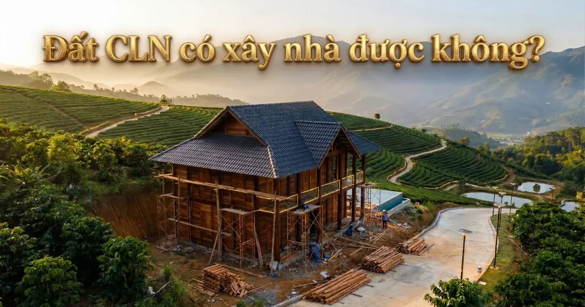 Đất CLN có xây nhà được không? Quy định mới nhất theo Luật Đất đai 2024 cho người mua đất Bảo Lộc