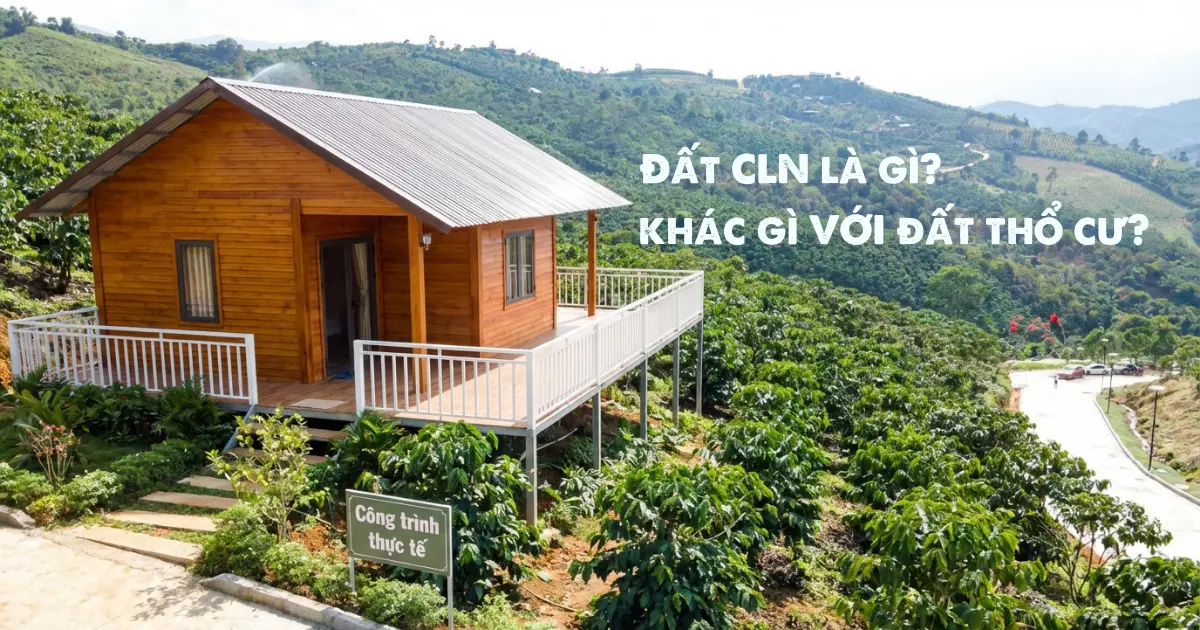 Đất Cln là gì? Khác gì với đất thổ cư.