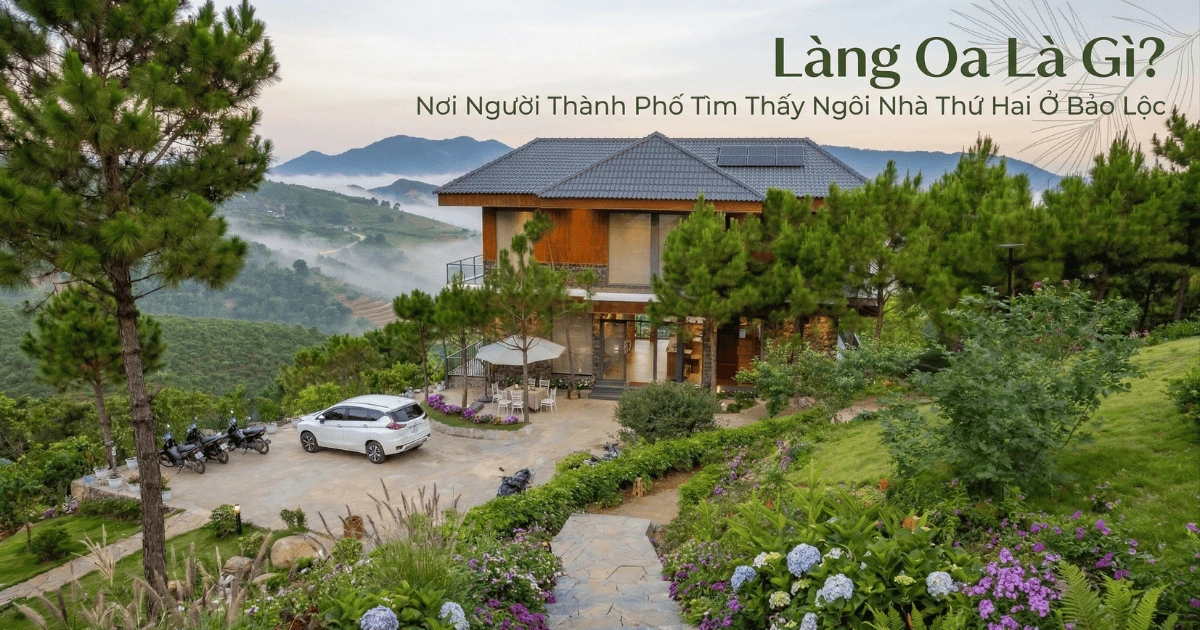 Làng oa là gì? Nơi người thành phố tìm thấy ngôi nhà thứ hai ở bảo lộc