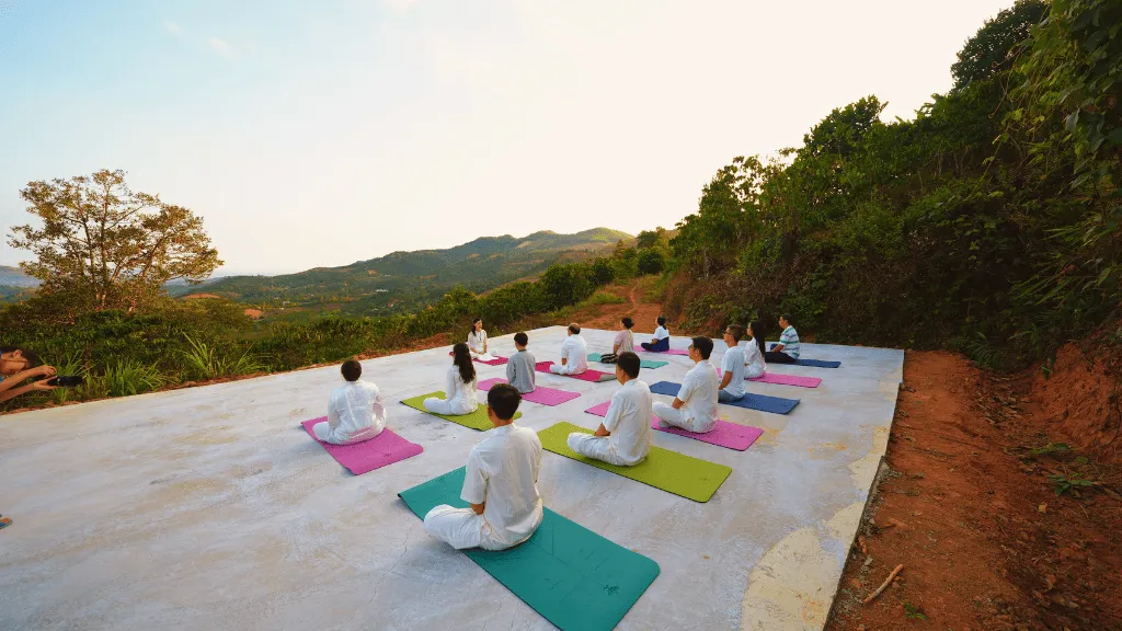 Sân yoga giữa rừng thông tại Làng Oa.